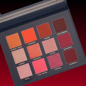 Ace Beauté Scarlet Dusk - 12 shades palette